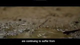 SDG 6: Clean and Water Sanitation (A Project Documentary)