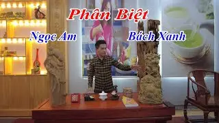 Gỗ Bách Xanh , Gỗ Ngọc Am Gỗ Nào Thơm Hơn - ĐỒ GỖ VĂN SÁU