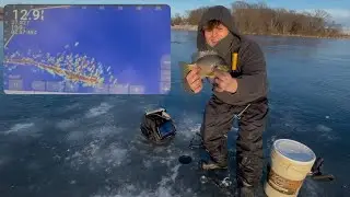 CRAZY early IOWA ice fishing with LIVESCOPE