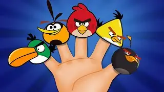 Finger Family Angry Birds | @hihoneykids