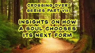 Crossing Over Part 7: Insights on How a Soul Chooses Its Next Form