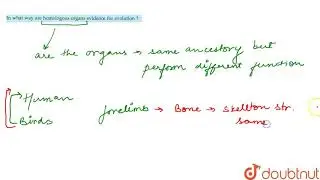 In what way are homologous organs evidence for evolution ?