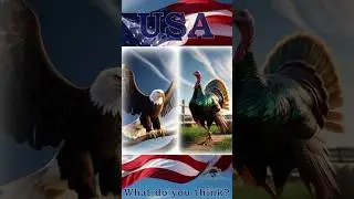 USA National Bird Debate: Bald Eagle vs. Turkey 🦅🦃 #shorts #funfacts