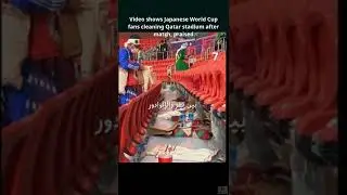 Video shows Japanese World Cup fans cleaning Qatar stadium after match, praised