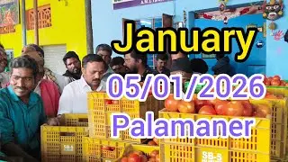 Class tomato action palamaner price Andhra Pradesh tomato price today #palamaner #madanapalli#tomato