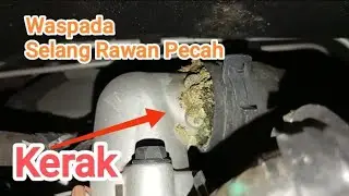 Selang Radiator Wuling Confero 🔴Rawan Pecah