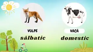 JOC! DOMESTIC sau SALBATIC? Recunoaste animalul!