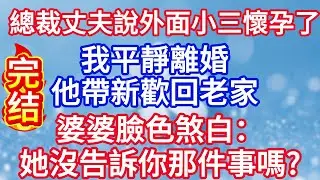 總裁丈夫說外面有小三已懷孕，我平靜離婚，他帶新歡回老家，婆婆臉色煞白：她沒告訴你那件事嗎?#完结文#情感故事#一口气看完
