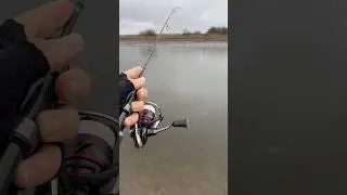 CF Nano Zero Air Водит Хороводы с Полосатыми🐠🐠🐠