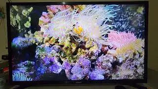 Samsung Smart TV : How to change Mouse Pointer Speed