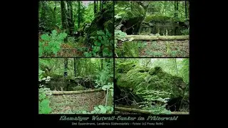 Auf Spurensuche am Westwall bei Pirmasens