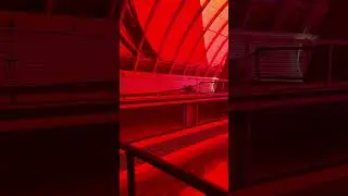 🚨&rdquo;RED LIGHTS&rdquo; can improve the growth of common carp and tilapia, EPCOT&rsquo;S use of Lights on FISH