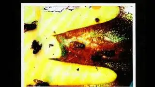 Bizarre Uproar - Silvottu Musta Vittu