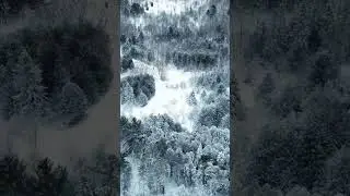 Secret Winter Paradise Found in Kawartha Lakes  #snow #drone #winter #magical