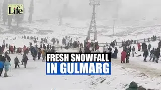 Fresh Snowfall In Gulmarg