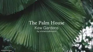 The Palm House at Kew Gardens