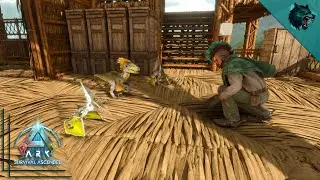 Breeding Our Raptors and Pteranodons to Get the Best Stats | ARK Survival Ascended Solo Ep6