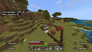 MINI SERIE DE MINECRAFT #38