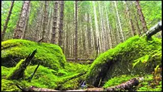 B.Reith - Breathe - Now Is Not Forever