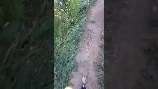 CHEVY SILVERADO OFF ROAD BEAUTIFUL RIVER WE FOUND!..
