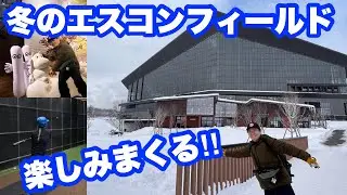 冬のエスコンフィールド満喫！ムーミンコラボとダイキャノンのバッティング！