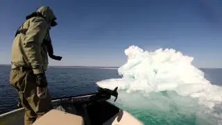 Iceberg