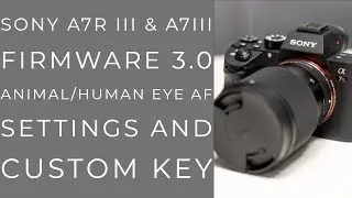 Sony A7R iii and A7iii Firmware 3.0 Animal Eye AF easy setup and custom key 