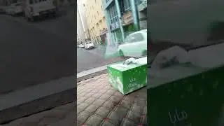 #qatarshorts