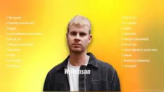 Wilkinson-The Night Is Young-catchy Edm Hooks