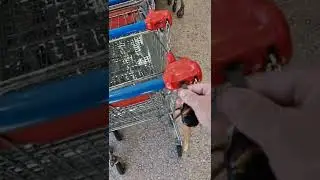 Portachiavi per prendere il carrello