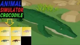 Crocodile Locations Animal Simulator