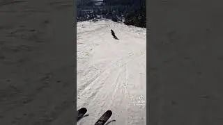#viral #skiing #snowboarding