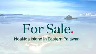LUXURY ISLAND FOR SALE: NoaNoa Island in Eastern Palawan