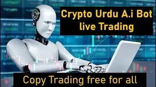 Crypto Urdu Ai Bot live Copy trading