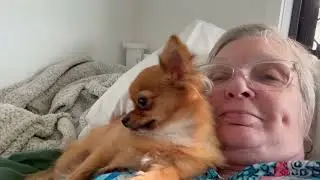 Puppy Dog Cuddle Compilation - Warm furry hugs and kisses