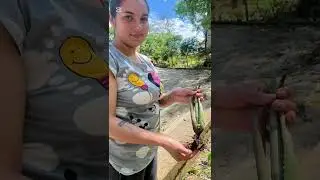 RECONOCIMIENTO DEL CONTEXTO