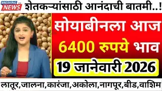 सोयाबीनला आज सर्वाधिक 6400 रु भाव| soyabean bajar bhav today|soyabean bhav today