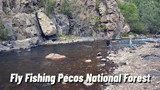 Fly Fishing Dry Dropper & Single Nymph for Wild Brown & Rainbow Trout