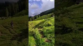 🏕️Camping in Parvati Valley Himachal 🗺️ Bhandak Thatch 🏞️ Pahadi Vlogs 🎥 Travelogue 🌲