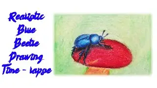 Realistic Blue Beetle Drawing | Time - lapse