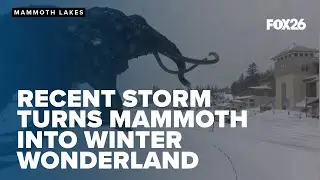 Storm covers Mammoth in snow
