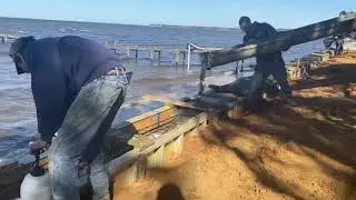 HOW TO INSTALL A CONCRETE CAP ON A VINYL SEAWALL