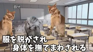 【ホモ受け編】ホモビデオ制作会社アルバイトの日常 #猫ミーム #猫マニ