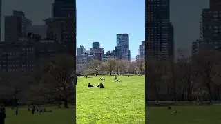 The Most RELAXING Spot in NYC??? #travel #travelnyc #travelnyc #nyc #photography #centralpark #fyp