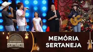 As melhores músicas sertanejas de todos os tempos nas vozes da nova geração