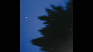 Tsohgeht - Endless Nights