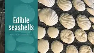 Edible seashells