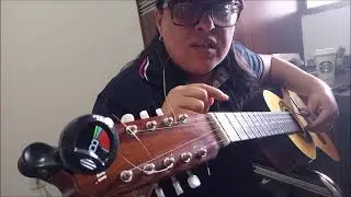 Como afinar viola caipira do zero para iniciantes