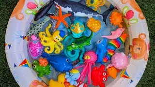 Sea Animals: Names & Facts with Toys! Ocean Creatures &ndash; Toy Learning for Preschoolers