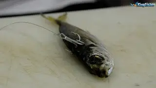 Traces | Garrick (Treble Hook slide live bait)